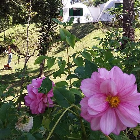 Pousada Igloo Campos do Jordao Dış mekan fotoğraf