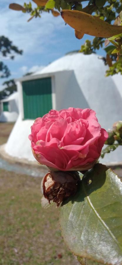 Pousada Igloo Campos do Jordao Dış mekan fotoğraf