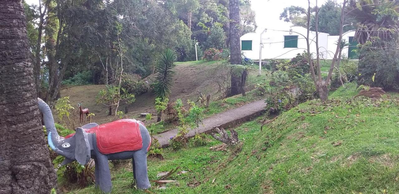 Pousada Igloo Campos do Jordao Dış mekan fotoğraf